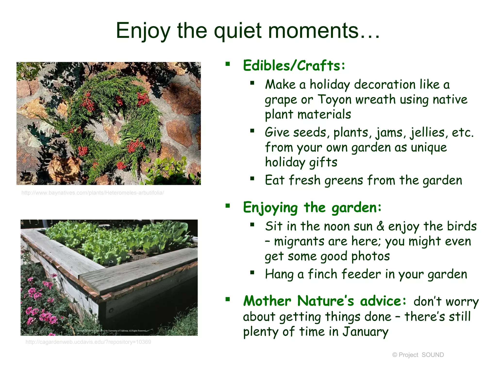 Enjoy the quiet moments…
                                                             Edibles/Crafts:
                                                                Make a holiday decoration like a
                                                                 grape or Toyon wreath using native
                                                                 plant materials
                                                                Give seeds, plants, jams, jellies, etc.
                                                                 from your own garden as unique
                                                                 holiday gifts
                                                                Eat fresh greens from the garden
http://www.baynatives.com/plants/Heteromeles-arbutifolia/

                                                             Enjoying the garden:
                                                                Sit in the noon sun & enjoy the birds
                                                                 – migrants are here; you might even
                                                                 get some good photos
                                                                Hang a finch feeder in your garden

                                                             Mother Nature’s advice: don’t worry
                                                              about getting things done – there’s still
                                                              plenty of time in January
 http://cagardenweb.ucdavis.edu/?repository=10369

                                                                                         © Project SOUND
 