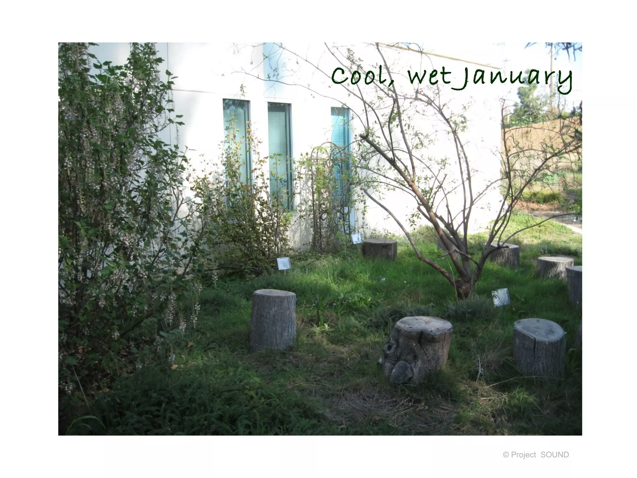 Cool, wet January




            © Project SOUND
 