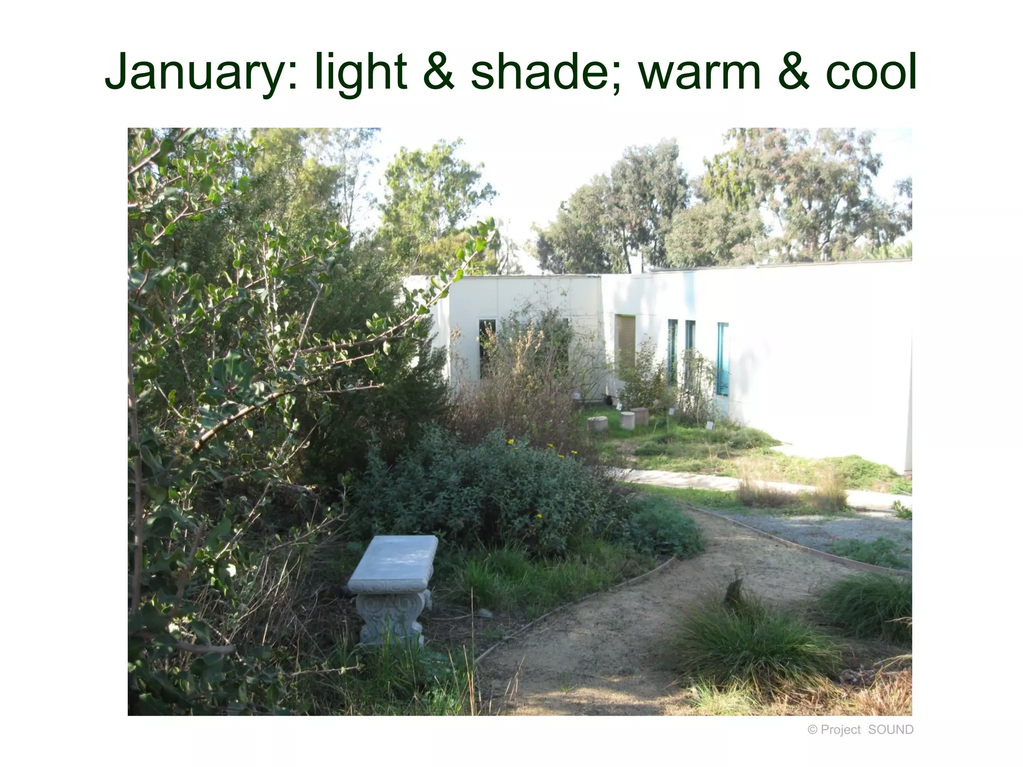 January: light & shade; warm & cool




                              © Project SOUND
 
