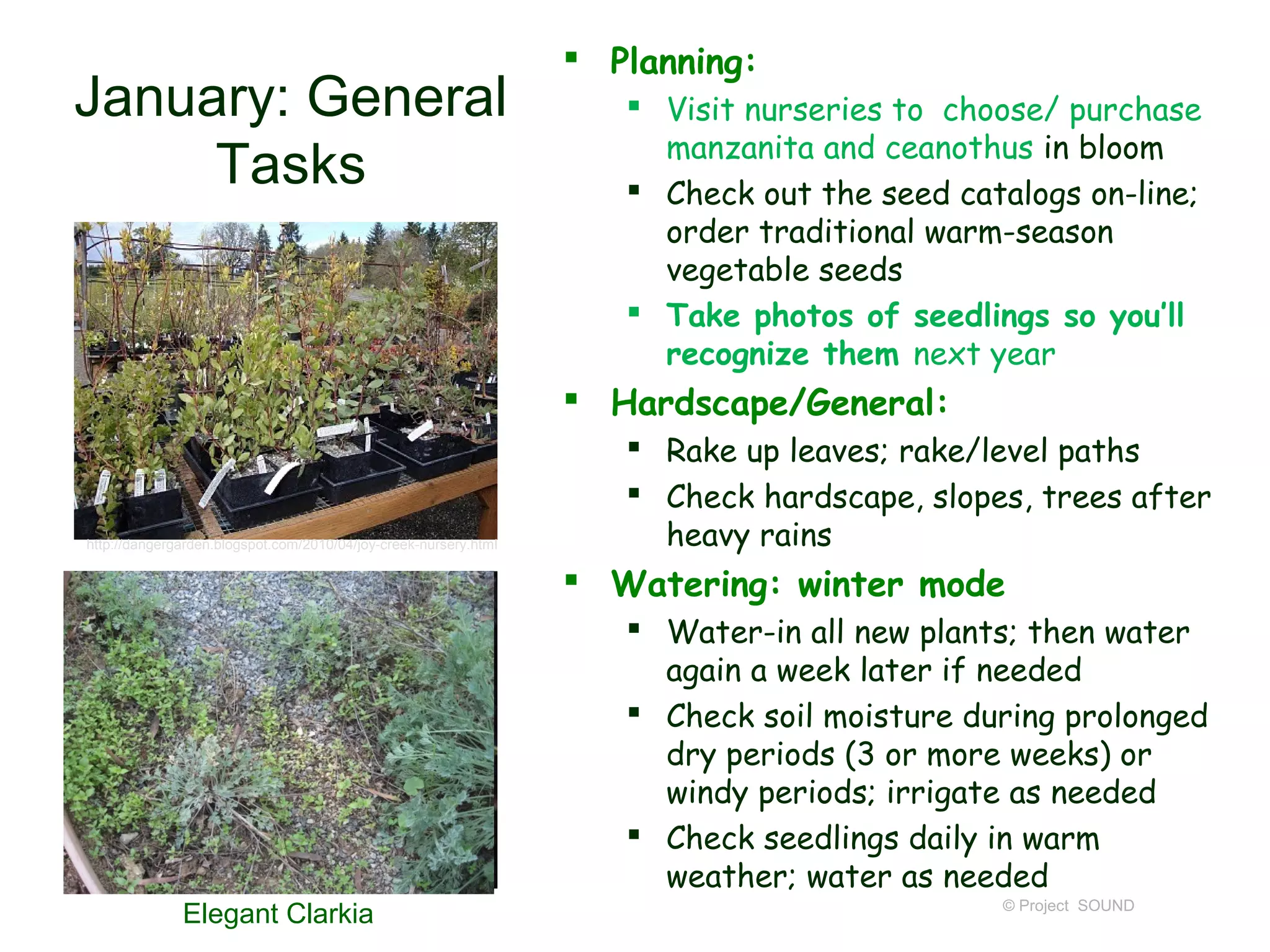  Planning:
January: General                                                      Visit nurseries to choose/ purchase
                                                                       manzanita and ceanothus in bloom
     Tasks                                                            Check out the seed catalogs on-line;
                                                                       order traditional warm-season
                                                                       vegetable seeds
                                                                      Take photos of seedlings so you’ll
                                                                       recognize them next year
                                                                   Hardscape/General:
                                                                      Rake up leaves; rake/level paths
                                                                      Check hardscape, slopes, trees after
http://dangergarden.blogspot.com/2010/04/joy-creek-nursery.html        heavy rains
                                                                   Watering: winter mode
                                                                      Water-in all new plants; then water
                                                                       again a week later if needed
                                                                      Check soil moisture during prolonged
                                                                       dry periods (3 or more weeks) or
                                                                       windy periods; irrigate as needed
                                                                      Check seedlings daily in warm
                                                                       weather; water as needed
                                                                                             © Project SOUND
              Elegant Clarkia
 