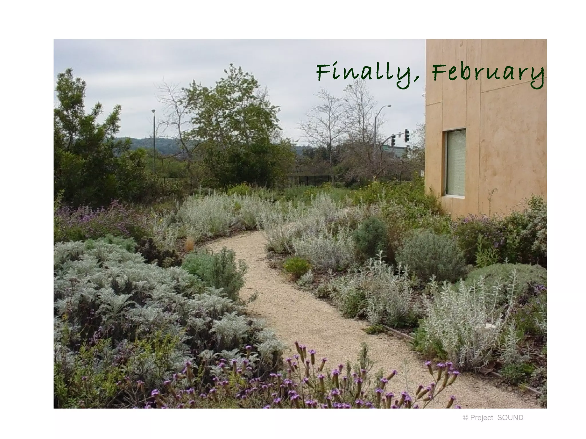 Finally, February




          © Project SOUND
 