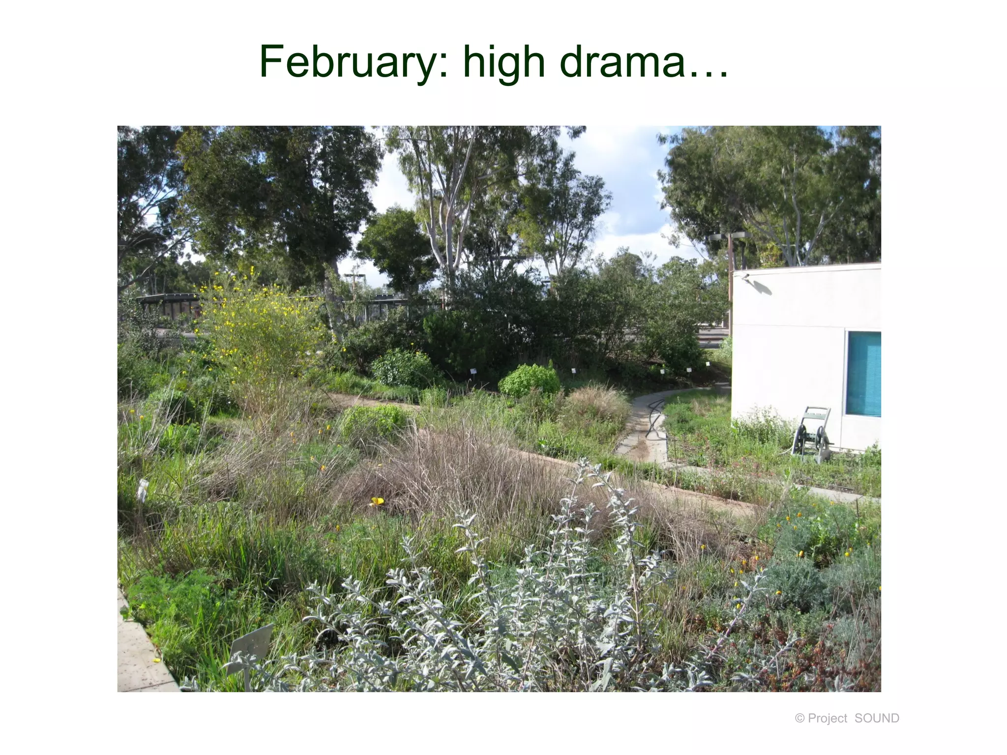 February: high drama…




                        © Project SOUND
 