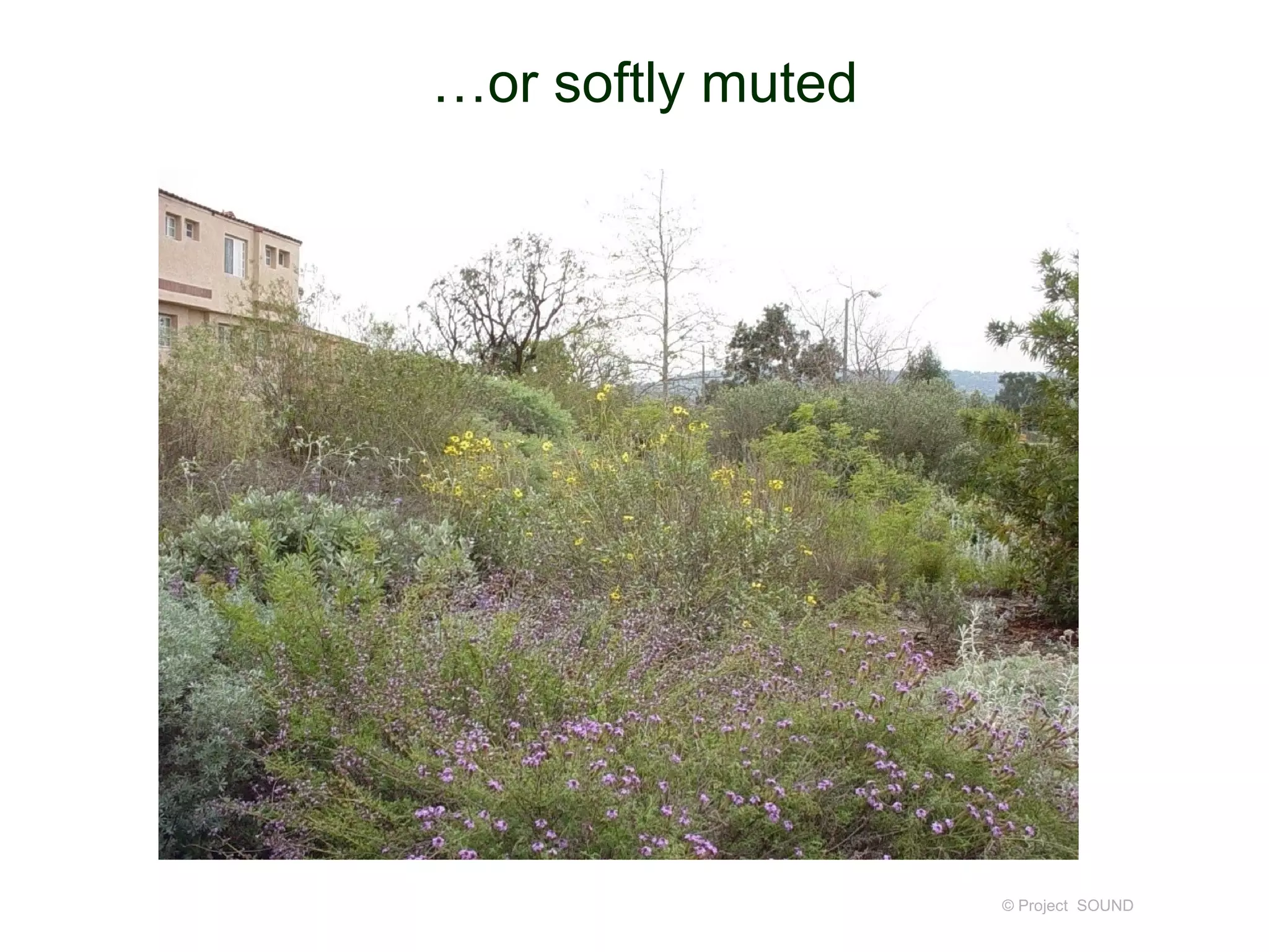 …or softly muted




                   © Project SOUND
 