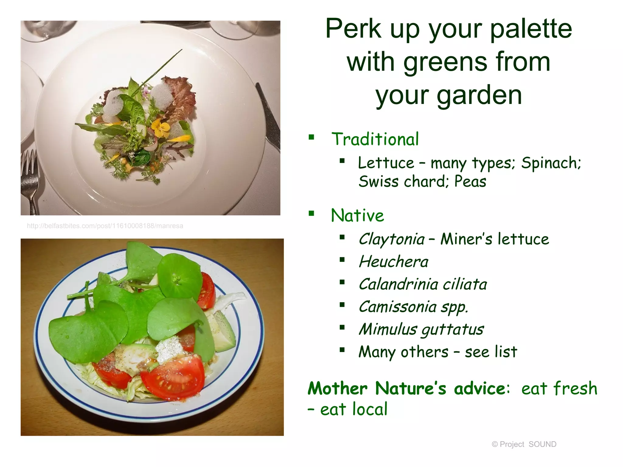 Perk up your palette
                                                      with greens from
                                                         your garden
                                                    Traditional
                                                       Lettuce – many types; Spinach;
                                                        Swiss chard; Peas

http://belfastbites.com/post/11610008188/manresa
                                                    Native
                                                         Claytonia – Miner’s lettuce
                                                         Heuchera
                                                         Calandrinia ciliata
                                                         Camissonia spp.
                                                         Mimulus guttatus
                                                         Many others – see list

                                                   Mother Nature’s advice: eat fresh
                                                   – eat local
                                                                            © Project SOUND
 