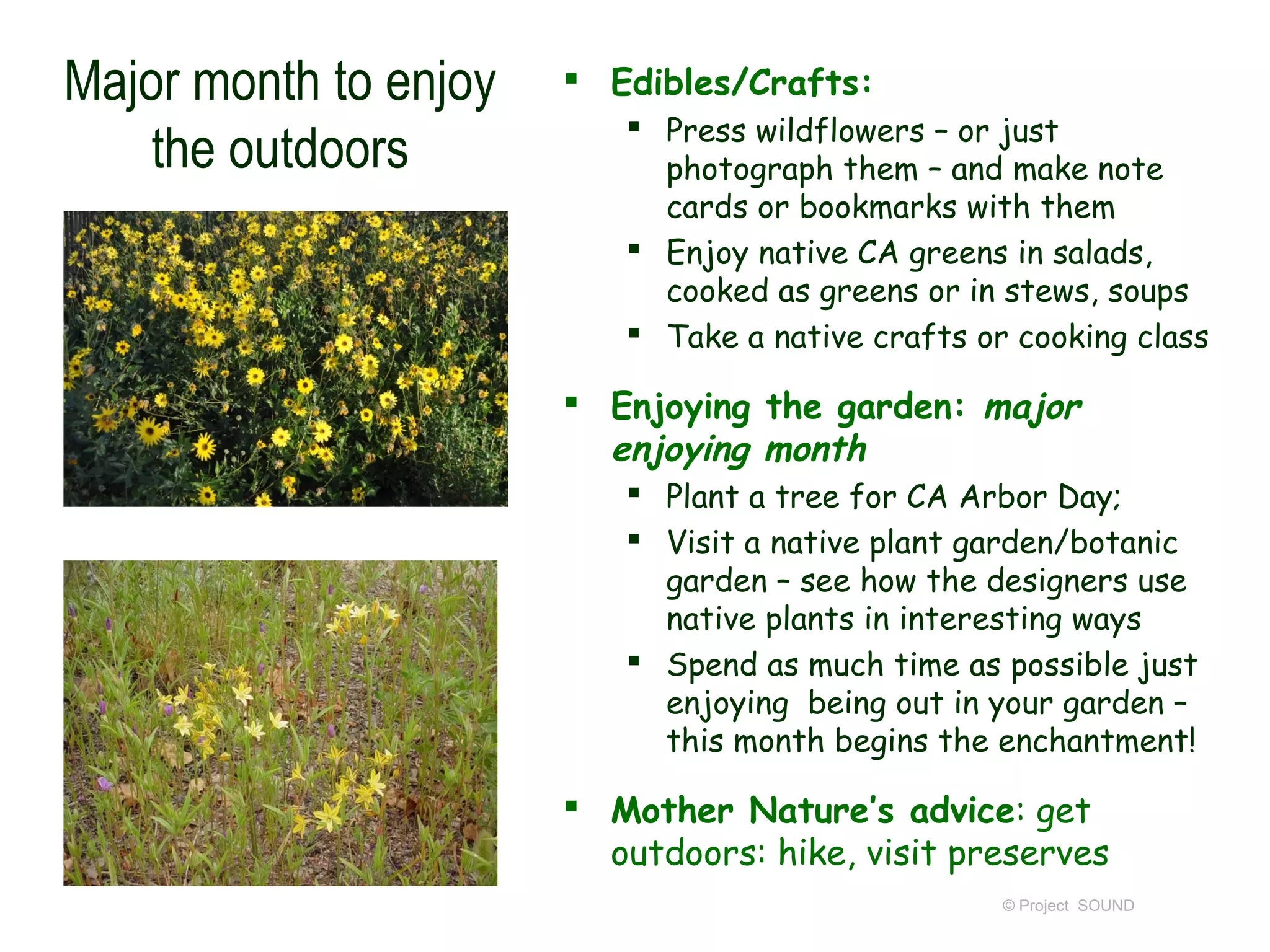 Major month to enjoy    Edibles/Crafts:
                           Press wildflowers – or just
    the outdoors            photograph them – and make note
                            cards or bookmarks with them
                           Enjoy native CA greens in salads,
                            cooked as greens or in stews, soups
                           Take a native crafts or cooking class

                        Enjoying the garden: major
                         enjoying month
                           Plant a tree for CA Arbor Day;
                           Visit a native plant garden/botanic
                            garden – see how the designers use
                            native plants in interesting ways
                           Spend as much time as possible just
                            enjoying being out in your garden –
                            this month begins the enchantment!

                        Mother Nature’s advice: get
                         outdoors: hike, visit preserves
                                                   © Project SOUND
 
