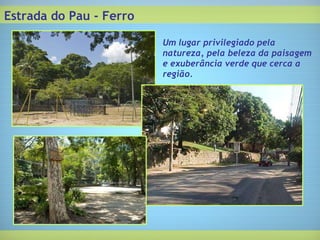 Estrada do Pau - Ferro Um lugar privilegiado pela natureza, pela beleza da paisagem e exuberância verde que cerca a região. 