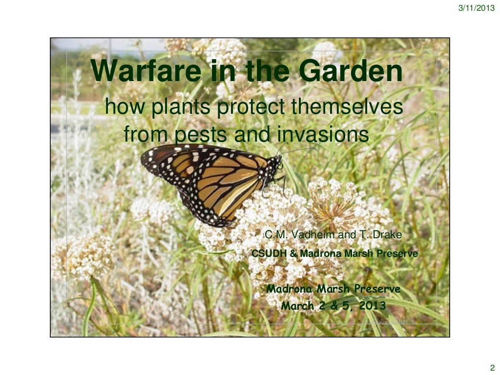 Garden warfare How Plants Protect Themselves