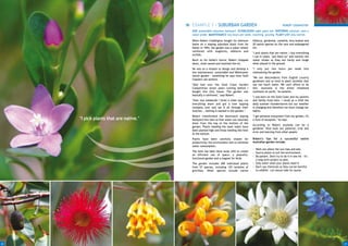 EXAMPLE 3 - SUBURBAN GARDEN                                                  ROBERT CODDINGTON
                                        SIZE sustainable suburban backyard ESTABLISHED eight years old WATERING minimal, uses a
                                        water probe MAINTENANCE two hours per week, mulching, pruning PLANT LIST only natives

                                        When Robert Coddington bought his Ashmore         hibiscus, gardenias, camellia, emu bushes and
                                        home on a sloping suburban block from his         20 native species on the rare and endangered
                                        father in 1994, the garden was a water reliant    list.
                                        rainforest with staghorns, elkhorns and
                                                                                          "I pick plants that are native. I buy everything
                                        orchids.
                                                                                          I can in tubes, ‘pot them on’ and monitor the
                                        Much to his father's horror, Robert chopped       water intake so they are hardy and tough
                                        down, chain sawed and mulched the lot.            when placed in the ground.
                                        He was on a mission to design and develop a       "I only put two hours per week into
                                        low maintenance, sustainable and Watersaver       maintaining the garden.
                                        native garden - something he says most Gold
                                                                                          "We are descendants from English country
                                        Coasters can achieve.
                                                                                          gardeners and so tend to plant varieties that
                                        "Dad had won the Gold Coast Garden                use too much water. We can't afford to do
                                        Competition seven years running before I          this. Australia is the driest inhabited
                                        bought this (his) house. The garden was           continent on earth," he laments.
                                        basically a rainforest," says Robert.
                                                                                          "I was born on the Gold Coast and my parents
                                        "Over two weekends I hired a chain saw, cut       and family lived here. I recall as a child the
                                        everything down and got a tree lopping            daily summer thunderstorms but our weather
                                        company over and ran it all through their         is changing and therefore we must change our
                                        mulcher... nothing is wasted in this garden."     habits.
                                        Robert transformed the downward sloping           "I get personal enjoyment from my garden, it's
     "I pick plants that are native."   backyard into tiers so that water can naturally   a form of escapism," he says.
                                        drain from the top to the bottom of the
                                                                                          According to Robert anybody can be a
                                        garden. Plants needing the least water have
                                                                                          gardener. Vital tools are patience, trial and
                                        been planted high and those needing the most
                                                                                          error and learning from other people.
                                        at the bottom.
                                        Plants have been carefully chosen for             Robert's tips for a successful native
                                        productivity, the environment and to minimise     Australian garden include:
                                        water consumption.
                                                                                            Work out where the sun rises and sets.
                                        The lawn has been done away with to create          Source plants to suit the environment.
                                        an efficient use of space, a peaceful,              Be patient. Don't try to do it in one hit - it's
                                        functional garden and a magnet for birds.           a long term project so plan.
                                        The garden includes 200 individual plants           Only water when your plants need it.
                                        from 57 species, including 125 varieties of         Don't use chemicals as they can be harmful
                                        grevillea. Other species include native             to wildlife. Let nature take its course.




20                                                                                                                                             21
 