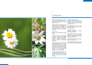 INTRODUCTION


Water is a precious resource. It is also a     THE BETTER WAY TO GARDEN
vital part of our Gold Coast lifestyle. We     Traditional English gardens struggle in our
must therefore work together to conserve       subtropical climate, where Australian
water where we can.                            natives survive, as do species from places
                                               with similar climates.
One place where we can save water is in
our gardens. By simply implementing water      So even though we live in the dry land,
saving techniques like mulching and            Watersaver gardens can survive on what
choosing plants that suit our climate, we      Mother Nature delivers.
will reduce the amount of water needed by
our gardens.                                   THE GARDENING GUIDE
                                               Watersaver     gardening     is   exciting,
THE DRY FACTS                                  challenging and sustainable.
Australia is the driest inhabited continent
on earth.                                      The inspiring stories of Gold Coast
                                               gardeners in this guide reflect creativity,
According to the Bureau of Meteorology,        imagination, individual style and practical
Australia has an annual rainfall averaging     advice with stunning results.
only 470mm. Putting this in perspective,
the global average annual rainfall is          The spectacular photos are living proof that
1,050mm        (World      Meteorological      Watersaver gardening works.
Organisation).
                                               So let's change forever the way we look at
The dryness of our land is further enhanced    water and see how green our gardens grow!
by high evapotranspiration rates, which is
the combination of water lost through
evaporation and transpiration from plants.
As a result, there are low amounts of runoff
into streams and rivers (11% of average
rainfall) and low replenishment of
groundwater (1% of average rainfall).

Australia represents approximately 5% of
the world's land area yet we only have 1% of
the global river runoff. We must therefore
be even more careful to use water
sparingly.




                                                                                              1
 