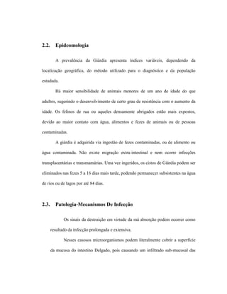 2.2. Epideomologia
A prevalência da Giárdia apresenta índices variáveis, dependendo da
localização geográfica, do método utilizado para o diagnóstico e da população
estudada.
Há maior sensibilidade de animais menores de um ano de idade do que
adultos, sugerindo o desenvolvimento de certo grau de resistência com o aumento da
idade. Os felinos de rua ou aqueles densamente abrigados estão mais expostos,
devido ao maior contato com água, alimentos e fezes de animais ou de pessoas
contaminadas.
A giárdia é adquirida via ingestão de fezes contaminadas, ou de alimento ou
água contaminada. Não existe migração extra-intestinal e nem ocorre infecções
transplacentárias e transmamárias. Uma vez ingeridos, os cistos de Giárdia podem ser
eliminados nas fezes 5 a 16 dias mais tarde, podendo permanecer subsistentes na água
de rios ou de lagos por até 84 dias.
2.3. Patologia-Mecanismos De Infecção
Os sinais da destruição em virtude da má absorção podem ocorrer como
resultado da infecção prolongada e extensiva.
Nesses casosos microorganismos podem literalmente cobrir a superfície
da mucosa do intestino Delgado, pois causando um infiltrado sub-mucosal das
 