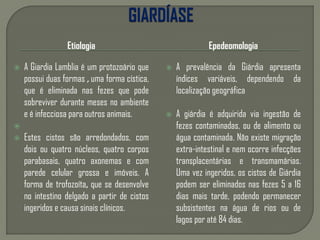 Etiologia
 A Giardia Lamblia é um protozoário que
possui duas formas , uma forma cística,
que é eliminada nas fezes que pode
sobreviver durante meses no ambiente
e é infecciosa para outros animais.

 Estes cistos são arredondados, com
dois ou quatro núcleos, quatro corpos
parabasais, quatro axonemas e com
parede celular grossa e imóveis. A
forma de trofozoíta, que se desenvolve
no intestino delgado a partir de cistos
ingeridos e causa sinais clínicos.
Epedeomologia
 A prevalência da Giárdia apresenta
índices variáveis, dependendo da
localização geográfica
 A giárdia é adquirida via ingestão de
fezes contaminadas, ou de alimento ou
água contaminada. Não existe migração
extra-intestinal e nem ocorre infecções
transplacentárias e transmamárias.
Uma vez ingeridos, os cistos de Giárdia
podem ser eliminados nas fezes 5 a 16
dias mais tarde, podendo permanecer
subsistentes na água de rios ou de
lagos por até 84 dias.
 