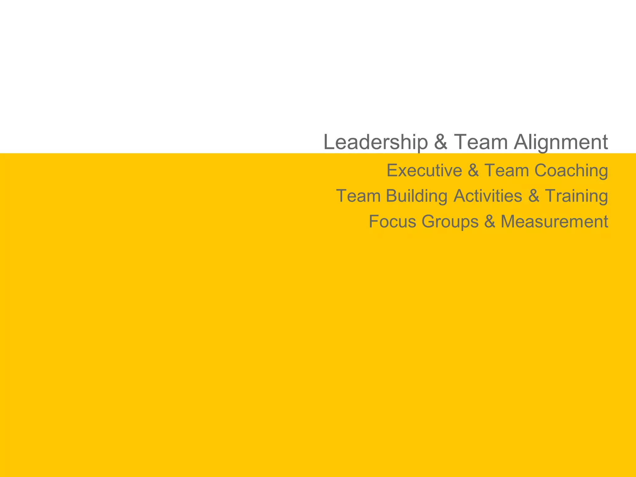 Leadership & Team Alignment
      Executive & Team Coaching
 Team Building Activities & Training
    Focus Groups & Measurement
 