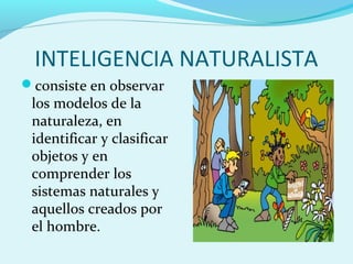 INTELIGENCIA NATURALISTA
consiste en observar
los modelos de la
naturaleza, en
identificar y clasificar
objetos y en
comprender los
sistemas naturales y
aquellos creados por
el hombre.
 