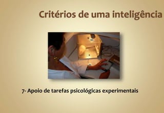 7- Apoio de tarefas psicológicas experimentais
 