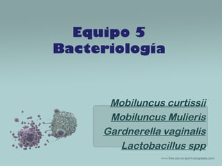 Equipo 5
Bacteriología

Mobiluncus curtissii
Mobiluncus Mulieris
Gardnerella vaginalis
Lactobacillus spp

 