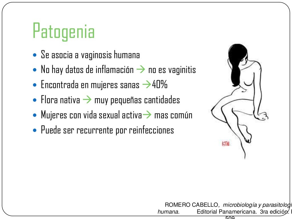 Gardnerella vaginalis