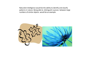 Naturalist intelligence would be the ability to identify and classify
patterns in nature. Being able to distinguish nuances between large
numbers of similar objects would be an example.
 