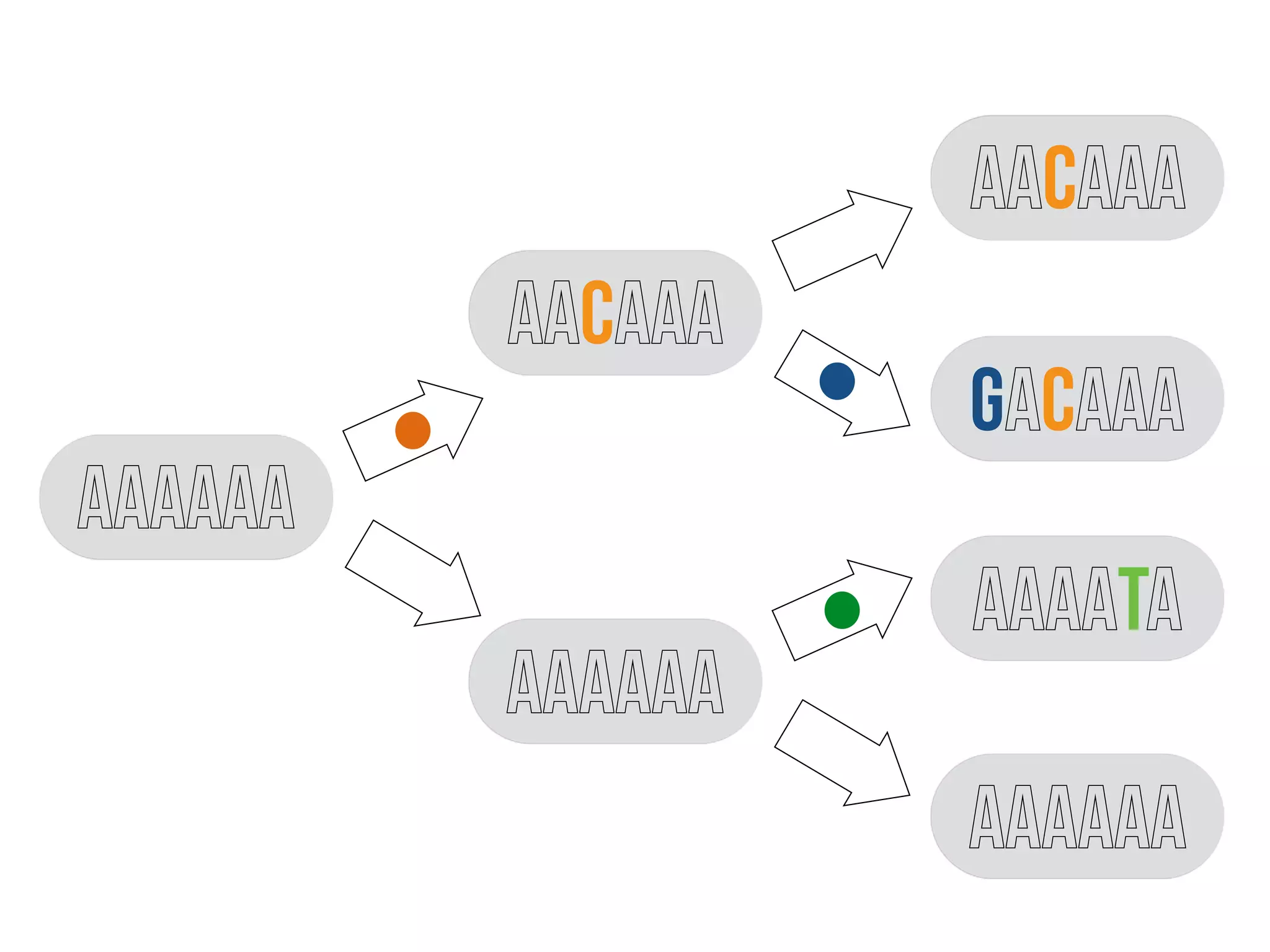 AAAAAA
AAAAAA
AACAAA
AACAAA
GACAAA
AAAATA
AAAAAA
 