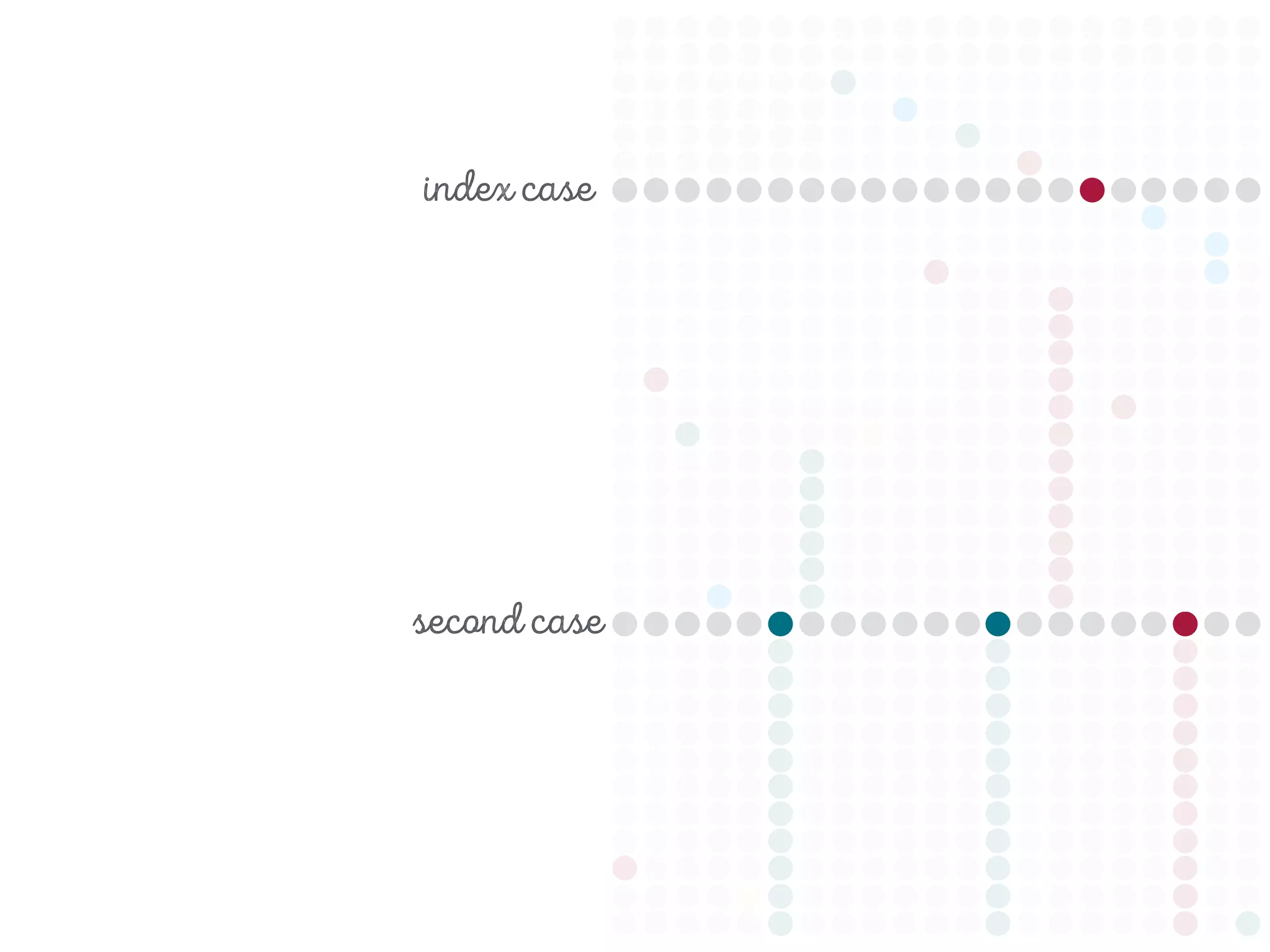index case
second case
 