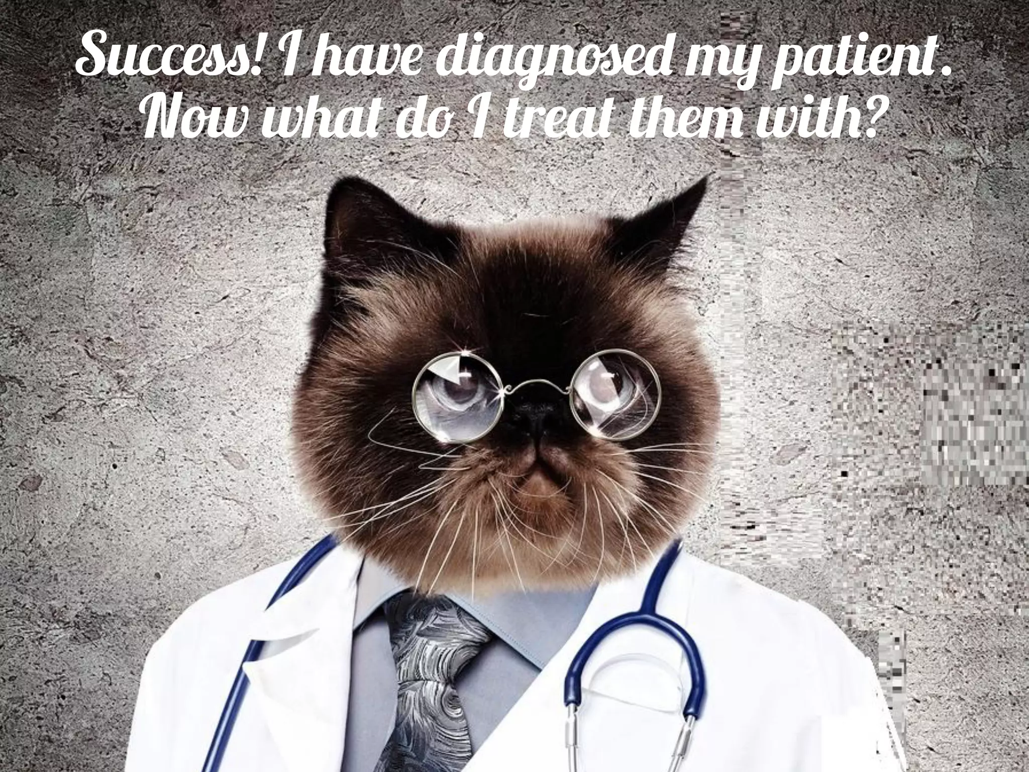 Success! I have diagnosed my patient.
Now what do I treat them with?
 