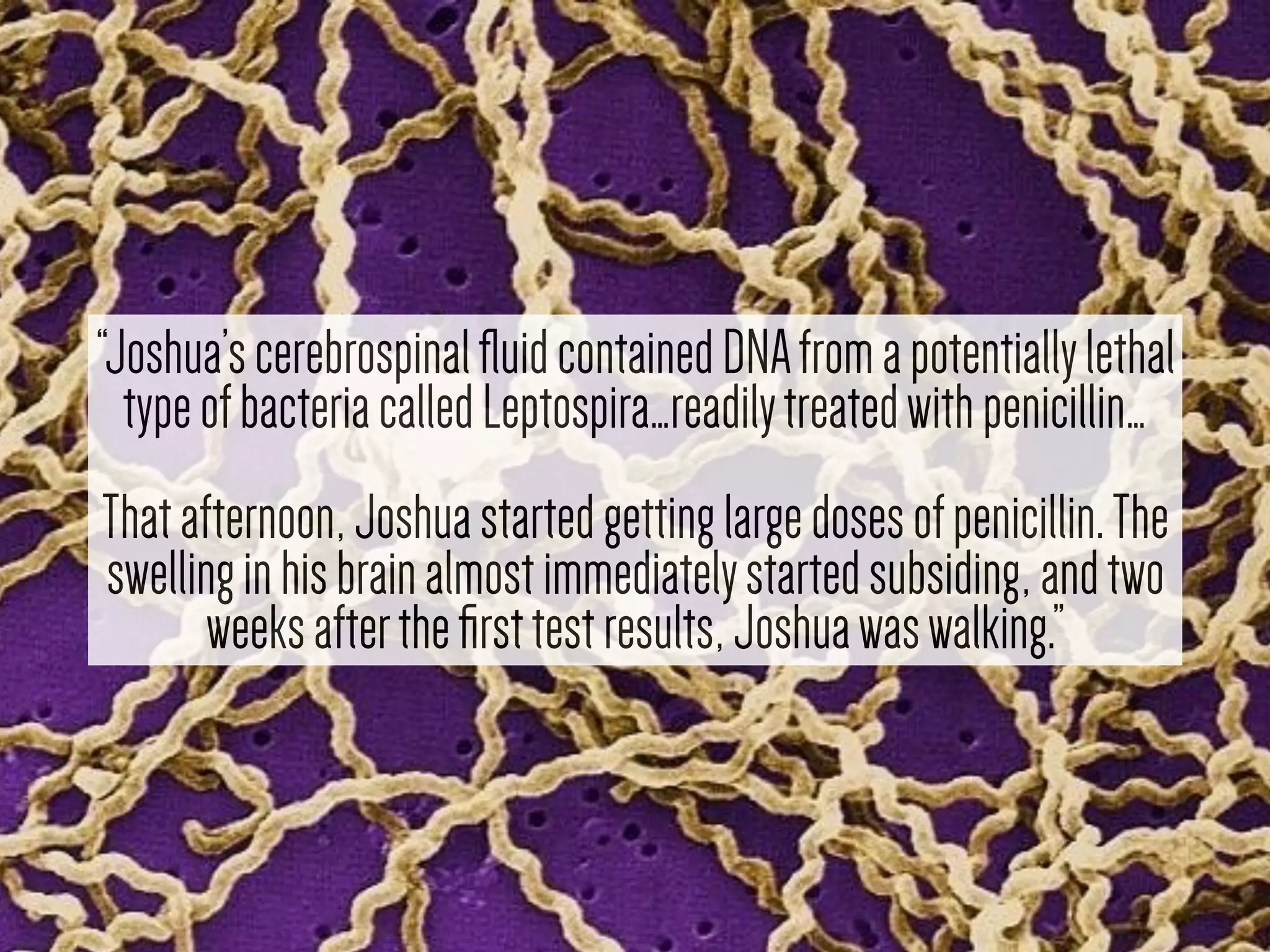 “Joshua’scerebrospinalﬂuidcontainedDNAfromapotentiallylethal
typeofbacteriacalledLeptospira…readilytreatedwithpenicillin…
Thatafternoon,Joshuastartedgettinglargedosesofpenicillin.The
swellinginhisbrainalmostimmediatelystartedsubsiding,andtwo
weeksaftertheﬁrsttestresults,Joshuawaswalking.”
 