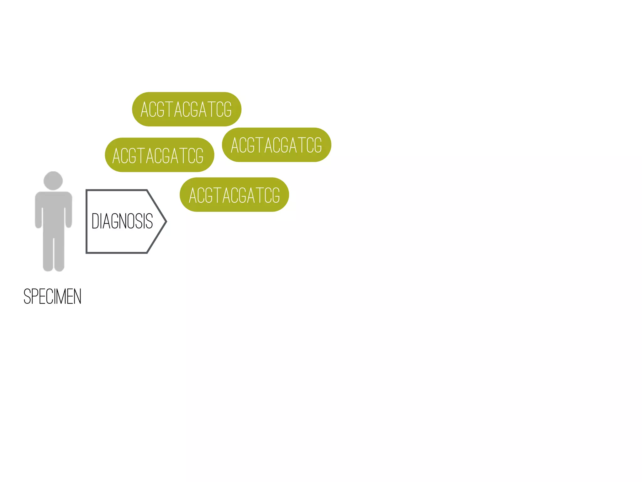 SPECIMEN
DIAGNOSIS
ACGTACGATCG
ACGTACGATCG ACGTACGATCG
ACGTACGATCG
 