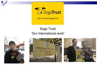 Dogs Trust
‘Our International work’
 