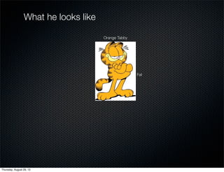 Fat
Orange Tabby
What he looks like
Thursday, August 29, 13
 