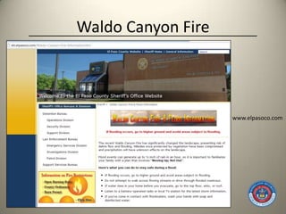 Waldo Canyon Fire




                    www.elpasoco.com
 