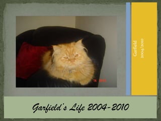 Garfield’s Life 2004-2010 Garfield 2004/2010 