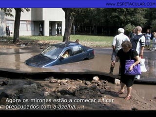 Agora os mirones estão a começar a ficarAgora os mirones estão a começar a ficar
preocupados com apreocupados com a azelha....!azelha....!
www.ESPETACULAR.COM
 