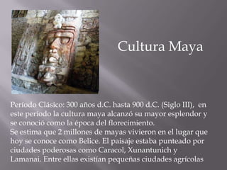 Cultura Maya Período Clásico: 300 años d.C. hasta 900 d.C. (Siglo III),  en este período la cultura maya alcanzó su mayor esplendor y se conoció como la época del florecimiento. Se estima que 2 millones de mayas vivieron en el lugar que hoy se conoce como Belice. El paisaje estaba punteado por ciudades poderosas como Caracol, Xunantunich y Lamanai. Entre ellas existían pequeñas ciudades agrícolas 