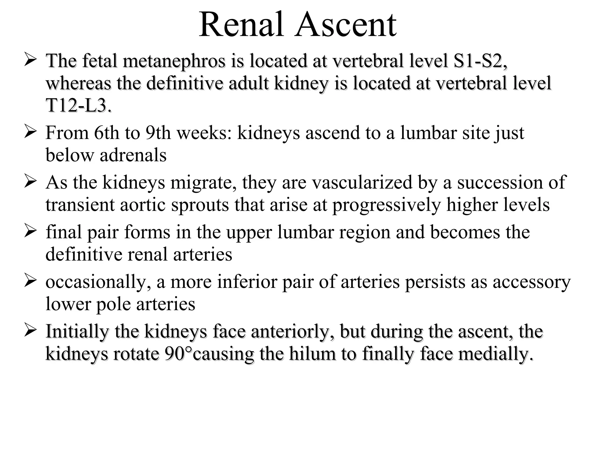 Renal Ascent 
 a The fetal metanephros is located att vveerrtteebbrraall lleevveell SS11--SS22,, 
wwhheerreeaass tthhee ddeeffiinniittiivvee aadduulltt kkiiddnneeyy iiss llooccaatteedd aatt vveerrtteebbrraall lleevveell 
TT1122--LL33.. 
 From 6th to 9th weeks: kidneys ascend to a lumbar site just 
below adrenals 
 As the kidneys migrate, they are vascularized by a succession of 
transient aortic sprouts that arise at progressively higher levels 
 final pair forms in the upper lumbar region and becomes the 
definitive renal arteries 
 occasionally, a more inferior pair of arteries persists as accessory 
lower pole arteries 
 IInniittiiaallllyy tthhee kkiiddnneeyyss ffaaccee aanntteerriioorrllyy,, bbuutt dduurriinngg tthhee aasscceenntt,, tthhee 
kkiiddnneeyyss rroottaattee 9900°°ccaauussiinngg tthhee hhiilluumm ttoo ffiinnaallllyy ffaaccee mmeeddiiaallllyy.. 
 
