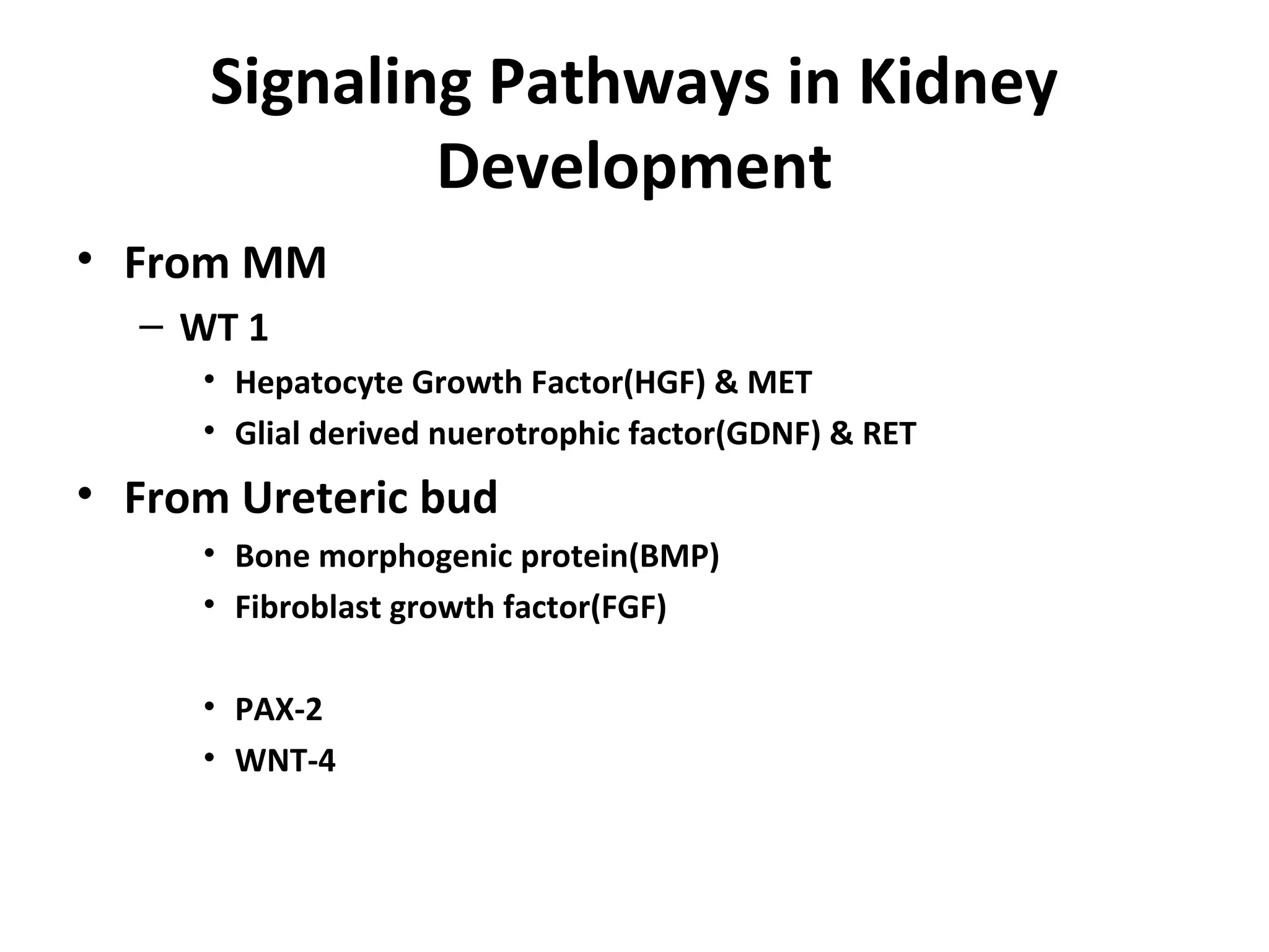 Signaling Pathways in Kidney 
Development 
• From MM 
– WT 1 
• Hepatocyte Growth Factor(HGF) & MET 
• Glial derived nuerotrophic factor(GDNF) & RET 
• From Ureteric bud 
• Bone morphogenic protein(BMP) 
• Fibroblast growth factor(FGF) 
• PAX-2 
• WNT-4 
 