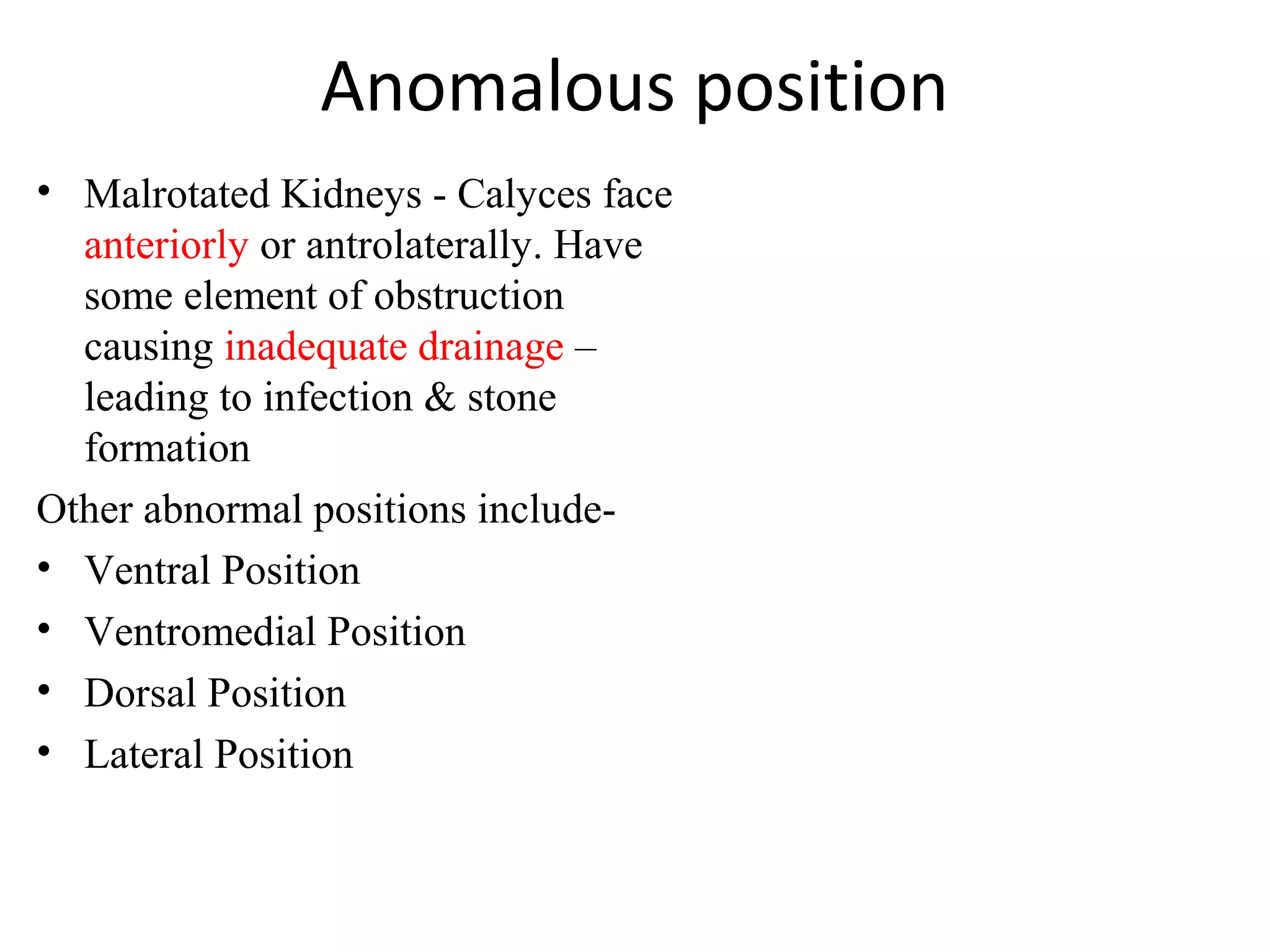 Anomalous position 
• Malrotated Kidneys - Calyces face 
anteriorly or antrolaterally. Have 
some element of obstruction 
causing inadequate drainage – 
leading to infection & stone 
formation 
Other abnormal positions include- 
• Ventral Position 
• Ventromedial Position 
• Dorsal Position 
• Lateral Position 
 