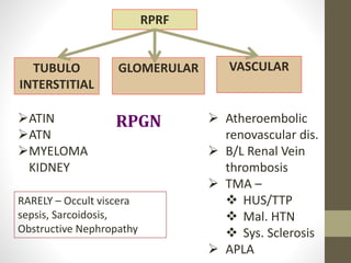 Rpgn Patterns Approach to Rapidly Progressive Glomerulonephritis RPGN | PPTX