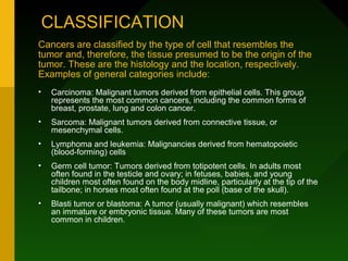 CLASSIFICATION
Cancers are classified by the type of cell that resembles the
tumor and, therefore, the tissue presumed to be the origin of the
tumor. These are the histology and the location, respectively.
Examples of general categories include:
•   Carcinoma: Malignant tumors derived from epithelial cells. This group
    represents the most common cancers, including the common forms of
    breast, prostate, lung and colon cancer.
•   Sarcoma: Malignant tumors derived from connective tissue, or
    mesenchymal cells.
•   Lymphoma and leukemia: Malignancies derived from hematopoietic
    (blood-forming) cells
•   Germ cell tumor: Tumors derived from totipotent cells. In adults most
    often found in the testicle and ovary; in fetuses, babies, and young
    children most often found on the body midline, particularly at the tip of the
    tailbone; in horses most often found at the poll (base of the skull).
•   Blasti tumor or blastoma: A tumor (usually malignant) which resembles
    an immature or embryonic tissue. Many of these tumors are most
    common in children.
 