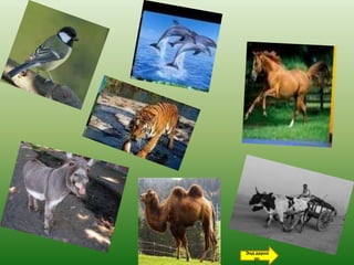 Энд дарна
   уу.
 