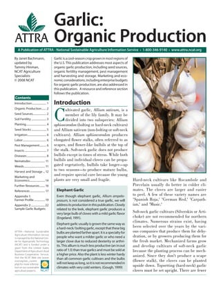 Garlic:
                                              Organic Production
    A Publication of ATTRA - National Sustainable Agriculture Information Service • 1-800-346-9140 • www.attra.ncat.org

By Janet Bachmann,                            Garlic is a cool-season crop grown in most regions of
updated by                                    the U.S. This publication addresses most aspects of
Tammy Hinman,                                 organic garlic production, including seed sources,
NCAT Agriculture                              organic fertility management, pest management
Specialists                                   and harvesting and storage. Marketing and eco-
© 2008 NCAT                                   nomic considerations, including enterprise budgets
                                              for organic garlic production, are also addressed in
                                              this publication. A resource and reference section
                                              follows the publication.
Contents
Introduction ..................... 1          Introduction

                                              C
Organic Production ....... 2                         ultivated garlic, Allium sativum, is a
Seed Sources.................... 2                   member of the lily family. It may be
Soil Fertility ...................... 3              divided into two subspecies: Allium
Planting.............................. 4      ophioscorodon (bolting or hard-neck cultivars)
Seed Stocks ...................... 5          and Allium sativum (non-bolting or soft-neck
Irrigation ............................ 6     cultivars). Allium ophioscorodon produces
Labor ................................... 6   elongated ﬂower stalks, often referred to as
Pest Management.......... 6                   scapes, and ﬂower-like bulbils at the top of
Insects ................................ 7    the stalk. Soft-neck garlic does not produce
Diseases ............................. 8      bulbils except in times of stress. While both
Nematodes ..................... 11            bulbils and individual cloves can be propa-
Weeds ............................... 11      gated vegetatively, bulbils take longer—up
Harvest and Storage ... 12
                                              to two seasons—to produce mature bulbs,
Marketing and
                                              and require special care because the young
Economics....................... 14           plants are very small and fragile.                        Hard-neck cultivars like Rocambole and
Further Resources ........ 16                                                                           Porcelain usually do better in colder cli-
References ...................... 17           Elephant Garlic                                          mates. The cloves are larger and easier
Appendix 1:                                    Even though elephant garlic, Allium ampelo-              to peel. A few of these variety names are
Farmer Proﬁle ................ 19              prasum, is not considered a true garlic, we will         'Spanish Roja,' 'German Red,' 'Carpath-
Appendix 2: .................... 22            address its production in this publication. Closely      ian,' and 'Music.'
Sample Garlic Budgets                          related to the leek, elephant garlic produces a
                                               very large bulb of cloves with a mild garlic ﬂavor       Soft-neck garlic cultivars (Silverskin or Arti-
                                               (Engeland, 1991).                                        choke) are not recommended for northern
                                                                                                        climates. Numerous strains exist, having
                                               Elephant garlic usually is grown the same way as
                                               a hard-neck/ bolting garlic, except that these big       been selected over the years by the vari-
ATTRA—National Sustainable                     bulbs are planted farther apart. It is a specialty for   ous companies that produce them for dehy-
Agriculture Information Service
is managed by the National Cen-                people who want a milder garlic or who need a            dration, or by growers producing them for
ter for Appropriate Technology                 larger clove due to reduced dexterity or arthri-         the fresh market. Mechanized farms grow
(NCAT) and is funded under a
grant from the United States
                                               tis. This allium is much less productive (an in:out      and develop cultivars of soft-neck garlic
Department of Agriculture’s Rural              ratio of 1:3) than true garlics and must be sold at      because the planting process can be mech-
Business-Cooperative Service.                  a higher price. Also the plant is less winter hardy      anized. Since they don't produce a scape
Visit the NCAT Web site (www.                  than all common garlic cultivars and the bulbs
ncat.org/sarc_current.                                                                                  (ﬂower stalk), the cloves can be planted
php) for more informa-                         will not keep as long, so it is not recommended in
tion on our sustainable                        climates with very cold winters. (Gough, 1999)           upside down. Topsetting (hard-neck) garlic
agriculture projects.                                                                                   cloves must be set upright. There are fewer
 