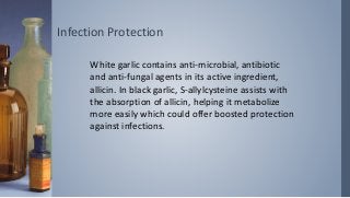 Infection Protection
White garlic contains anti-microbial, antibiotic
and anti-fungal agents in its active ingredient,
allicin. In black garlic, S-allylcysteine assists with
the absorption of allicin, helping it metabolize
more easily which could offer boosted protection
against infections.
 