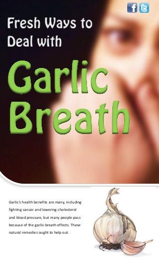 Garlic's health benefits are many, including
fighting cancer and lowering cholesterol
and blood pressure, but many people pass
because of the garlic-breath effects. These
natural remedies ought to help out.
 