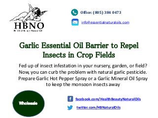 Garlic Essential Oil Barrier to Repel
Insects in Crop Fields
Fed up of insect infestation in your nursery, garden, or field?
Now, you can curb the problem with natural garlic pesticide.
Prepare Garlic Hot Pepper Spray or a Garlic Mineral Oil Spray
to keep the monsoon insects away
Office: (805) 384 0473
info@essentialnaturaloils.com
twitter.com/HBNaturalOils
facebook.com/HealthBeautyNaturalOils
Wholesale
 