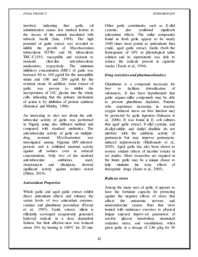 advertising effect on society essay cinema