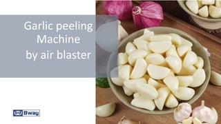 Garlic peeling
Machine
by air blaster
 