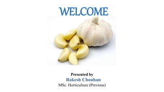 WELCOME
Presented by
Rakesh Chouhan
MSc. Horticulture (Previous)
 