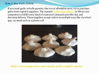 Slide 3- Buy Garlic Online
If you need garlic in bulk quantity that too at affordable rates, try to purchase
garlic from reputed suppliers. The reputed Garlic distributors in Mexico are
competent to fulfill every kind of customer’s demand and offer fast and
doorstep delivery. These suppliers accept orders in multiple ways like via what’s
app, via email and via a phone call.
https://www.pampastore.com/organic-garlic-supplier-mexico
 