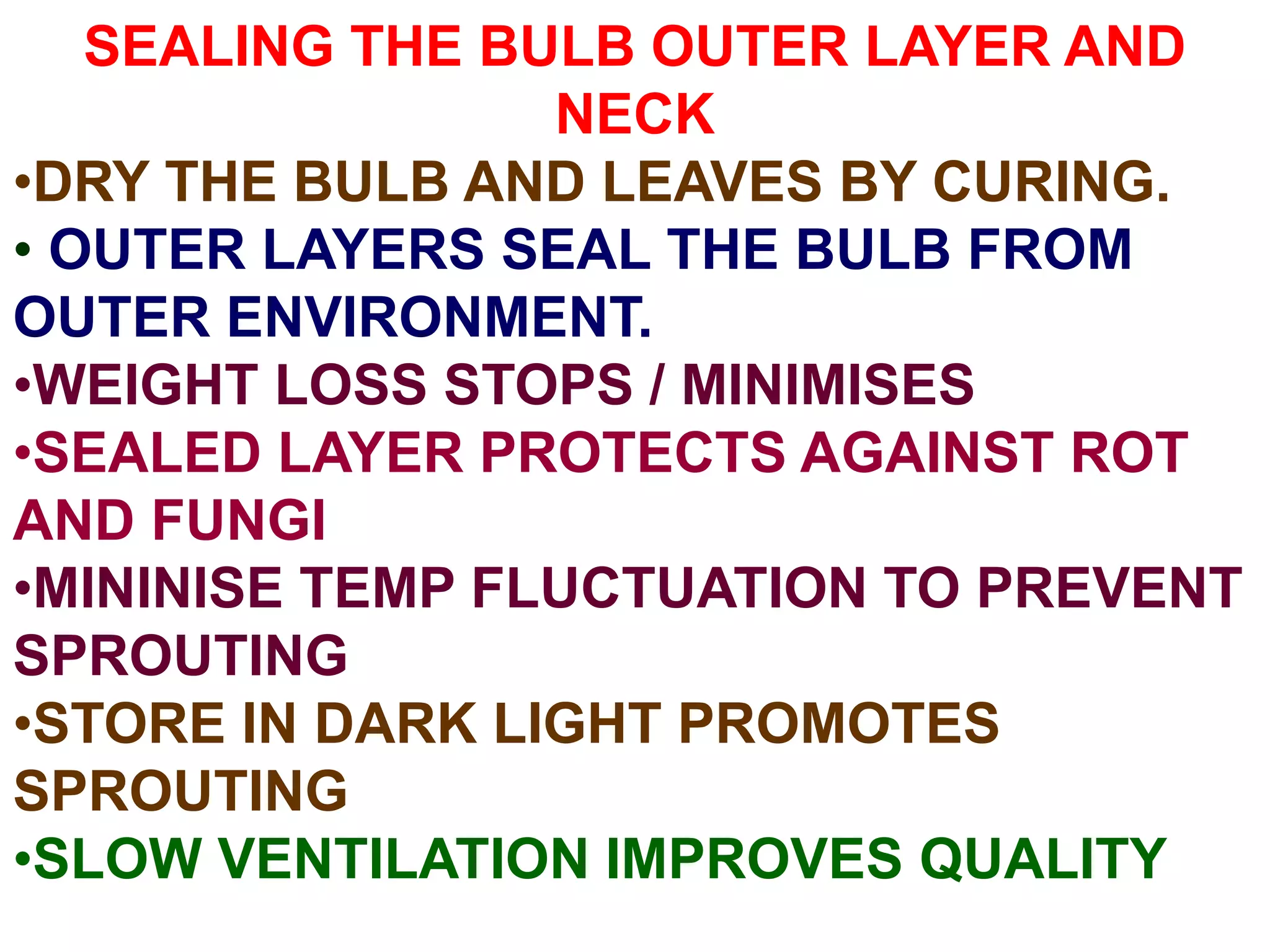 SEALING THE BULB OUTER LAYER AND
NECK
•DRY THE BULB AND LEAVES BY CURING.
• OUTER LAYERS SEAL THE BULB FROM
OUTER ENVIRONMENT.
•WEIGHT LOSS STOPS / MINIMISES
•SEALED LAYER PROTECTS AGAINST ROT
AND FUNGI
•MININISE TEMP FLUCTUATION TO PREVENT
SPROUTING
•STORE IN DARK LIGHT PROMOTES
SPROUTING
•SLOW VENTILATION IMPROVES QUALITY
 