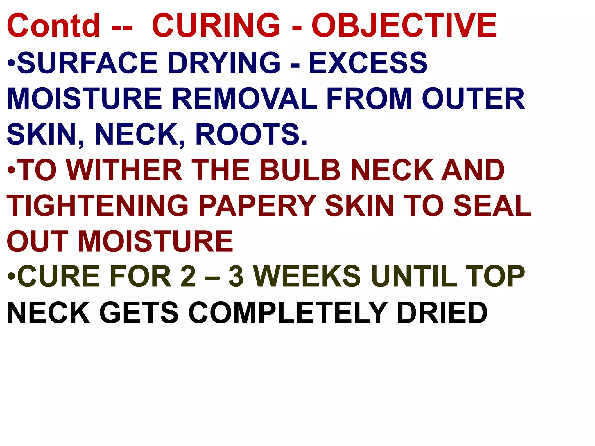 Contd -- CURING - OBJECTIVE
•SURFACE DRYING - EXCESS
MOISTURE REMOVAL FROM OUTER
SKIN, NECK, ROOTS.
•TO WITHER THE BULB NECK AND
TIGHTENING PAPERY SKIN TO SEAL
OUT MOISTURE
•CURE FOR 2 – 3 WEEKS UNTIL TOP
NECK GETS COMPLETELY DRIED
 