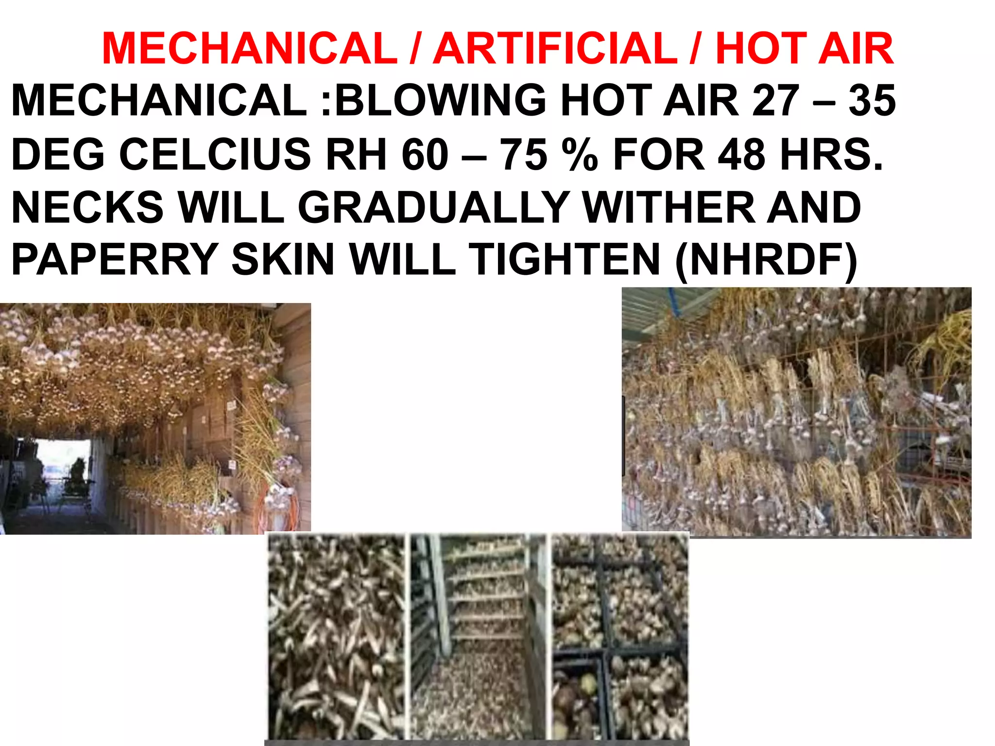 MECHANICAL / ARTIFICIAL / HOT AIR
MECHANICAL :BLOWING HOT AIR 27 – 35
DEG CELCIUS RH 60 – 75 % FOR 48 HRS.
NECKS WILL GRADUALLY WITHER AND
PAPERRY SKIN WILL TIGHTEN (NHRDF)
 