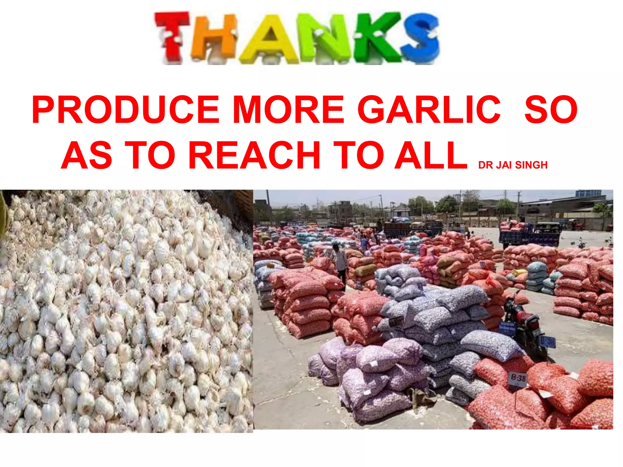 PRODUCE MORE GARLIC SO
AS TO REACH TO ALL DR JAI SINGH
 